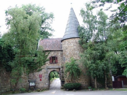 Фото: Burg Wilhelmstein